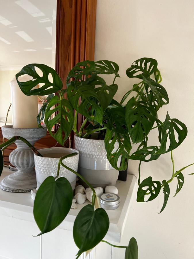 Bed and Breakfast Flavian House Chichester Esterno foto
