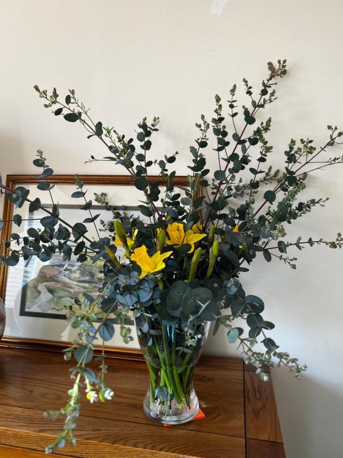 Bed and Breakfast Flavian House Chichester Esterno foto